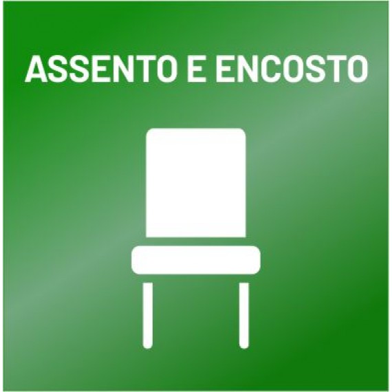 Higienização - Assento e Encosto