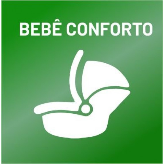 Higienização - Bebê Conforto